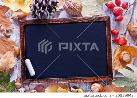 autumn background autumn background 20839942