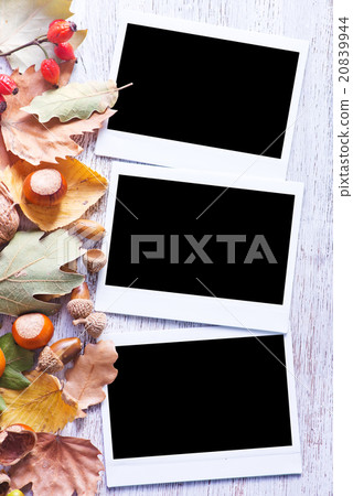 autumn background autumn background 20839944