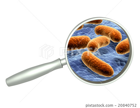 Magnifying glass and pathogen bacteria 20840752