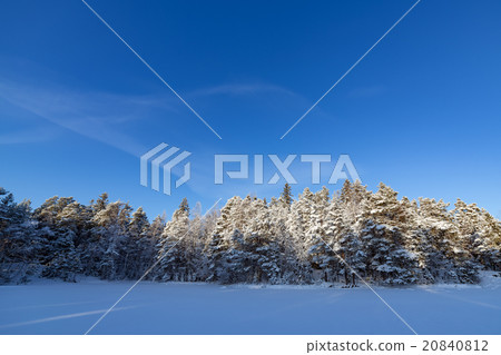 Frozen lake and snow covered forest Frozen lake and snow covered forest 20840812