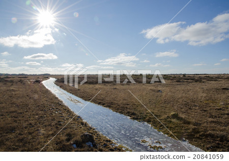 Grassland trail with ice 20841059