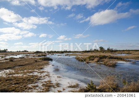 Spring with flood at a plain grassland 20841061