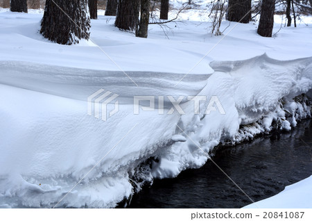 河雪 河雪 20841087