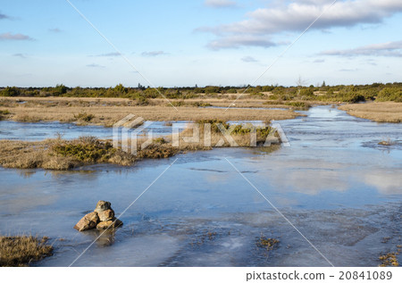 Icy trail at spring Icy trail at spring 20841089