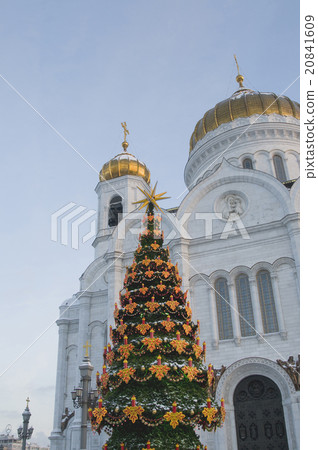 Cristmas tree near  Christ The Saviour cathedrale 20841609