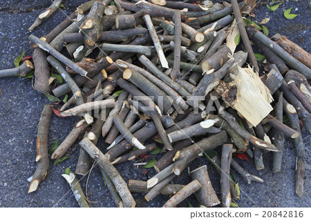 Resource wood fuel Resource wood fuel 20842816