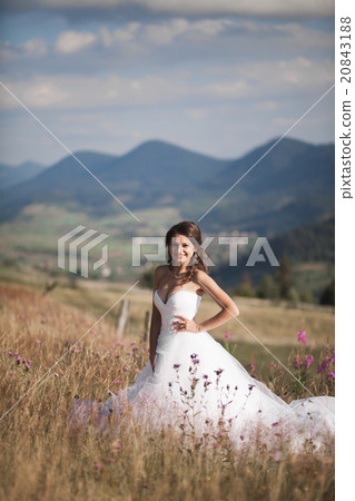Gorgeous bride in elegant dress posing at sunny 20843188