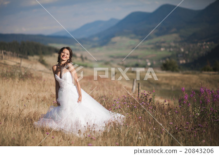 Gorgeous bride in elegant dress posing at sunny 20843206
