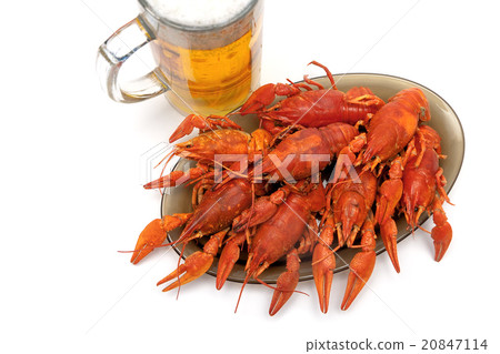 crayfish and beer closeup on a white background 20847114