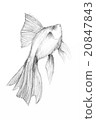 Original pencil drawing by the fish. 20847843