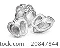 Original pencil drawing by the pepper. 20847844