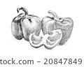 Original pencil drawing by the pepper. 20847849