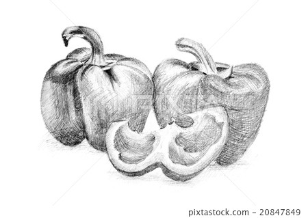 Original pencil drawing by the pepper. Original pencil drawing by the pepper. 20847849