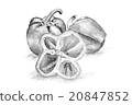 Original pencil drawing by the pepper. 20847852