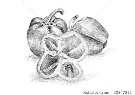Original pencil drawing by the pepper. Original pencil drawing by the pepper. 20847852