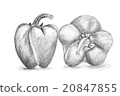 Original pencil drawing by the pepper. 20847855