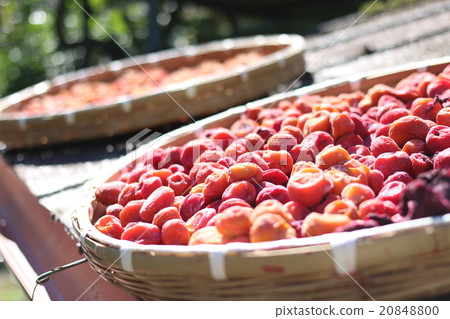 Salted plum Salted plum 20848800