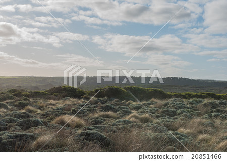 Outback Australian bush in national park Outback Australian bush in national park 20851466