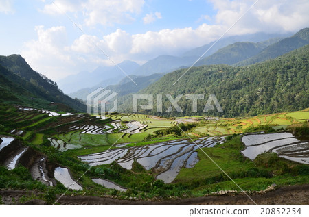 Vietnamese village of the Sapa Monong beautiful rice terrace Vietnamese village of the Sapa Monong beautiful rice terrace 20852254