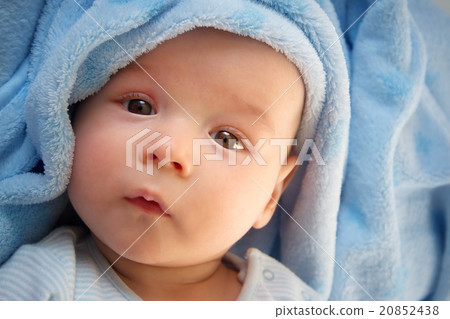 three month old baby wrapped in blue blanket three month old baby wrapped in blue blanket 20852438