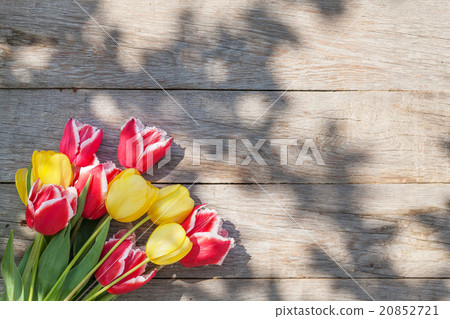 Colorful tulips on garden table Colorful tulips on garden table 20852721