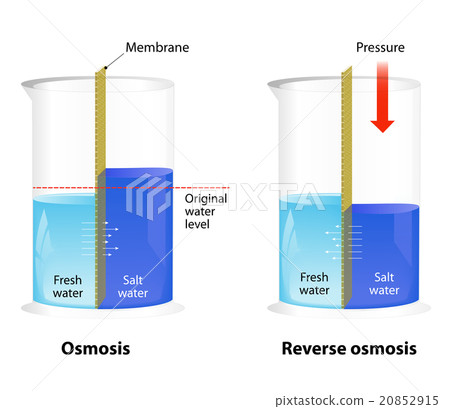 Osmosis and Reverse Osmosis 20852915