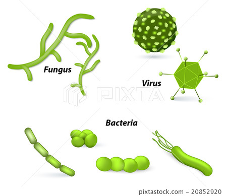 Virus, bacteria and fungi 20852920