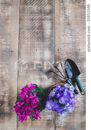Gardening tools and flower on wooden background 20852998
