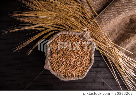Wheat in a sack against a dark background with gra Wheat in a sack against a dark background with gra 20853262