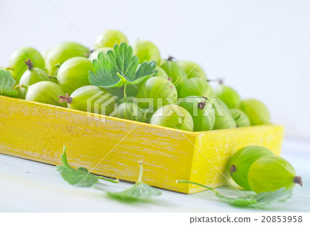 gooseberry 20853958