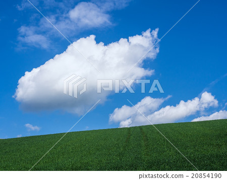 Landscape 20854190