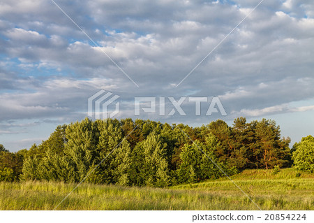 Landscape Landscape 20854224
