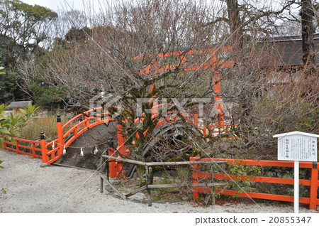 Shimogamo Shrine Kohlin Plum and Ring Bridge Shimogamo Shrine Kohlin Plum and Ring Bridge 20855347