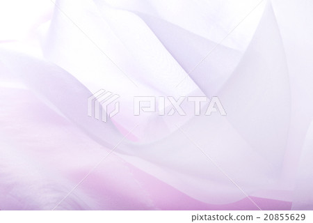 Drape of tulle 20855629