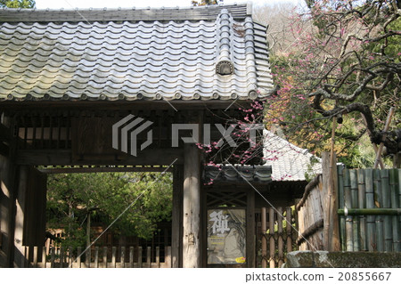 Kobo Daishi Sagami 21 places The visit to the seventh "Sobusukuji" of the sacred place 20855667