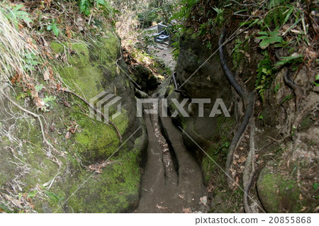 Kobo Daishi Sagami 21 place訪問神聖之地的第7個“Sobusukuji” Kobo Daishi Sagami 21 place訪問神聖之地的第7個“Sobusukuji” 20855868