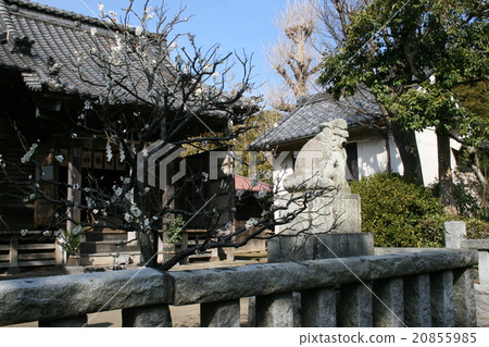 參觀上神神社監護人“八坂歐米茄” 參觀上神神社監護人“八坂歐米茄” 20855985
