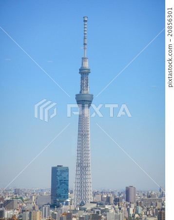 天空樹的全貌 20856301