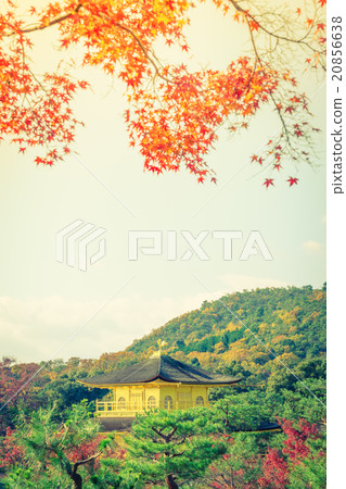 Kinkakuji Temple " The Golden Pavilion" in Kyoto, Japan ( Filter Kinkakuji Temple " The Golden Pavilion" in Kyoto, Japan ( Filter 20856638