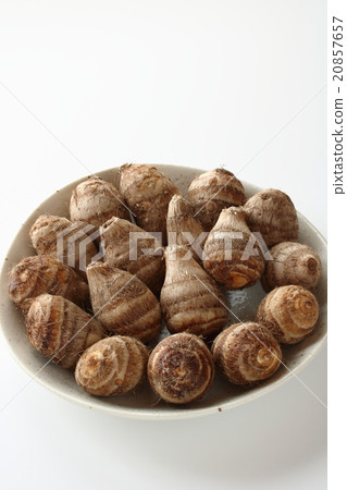 Shrimp potato Shrimp potato 20857657