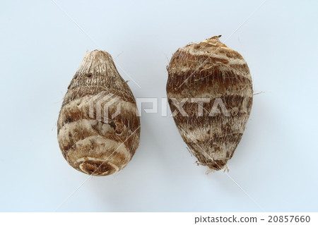 Shrimp potato 20857660