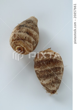 Shrimp potato 20857661