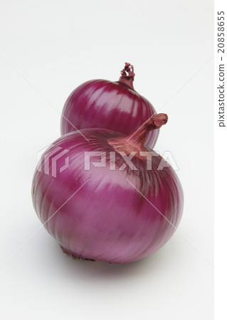 Purple onion 20858655