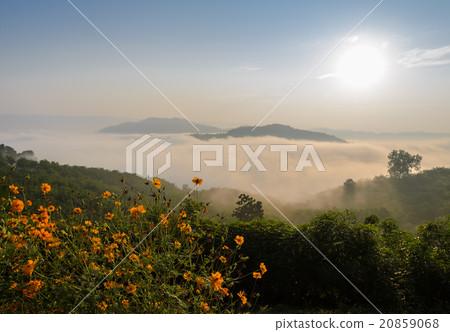 Sunrise with sea of fog above Mekong river Sunrise with sea of fog above Mekong river 20859068