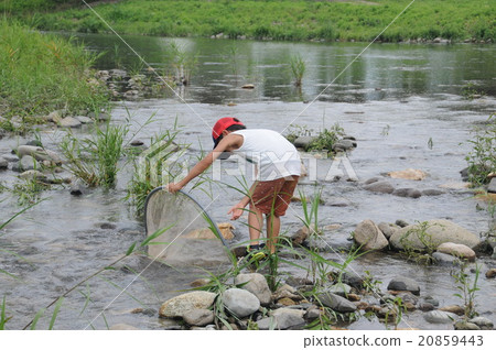 魚在暑假 20859443