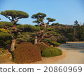 日本庭園 20860969
