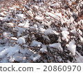 累積雪 20860970