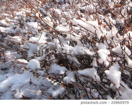 To accumulate snow To accumulate snow 20860970
