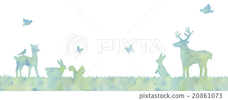 Animal illustrations 20861073