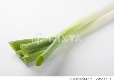 Green onion Green onion 20861303